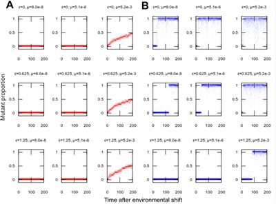 Organelle bottlenecks facilitate evolvability by traversing heteroplasmic fitness valleys